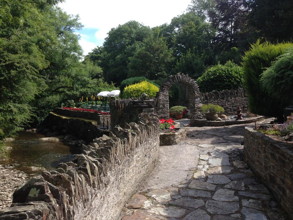 The Old Mill House Bed & Breakfast Padstow Oda fotoğraf